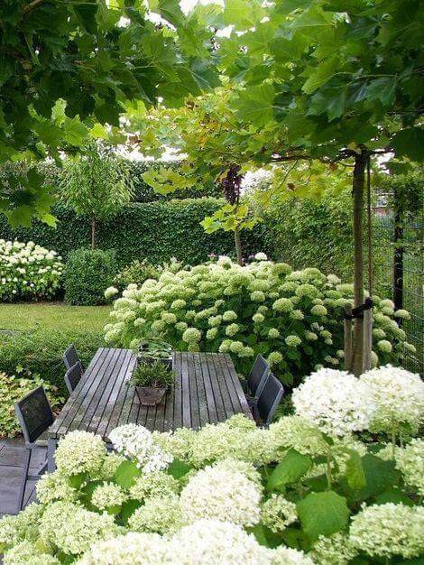 Jardin paysager: ambiance naturelle et forestière