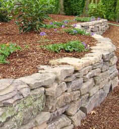 Requalification d’un jardin