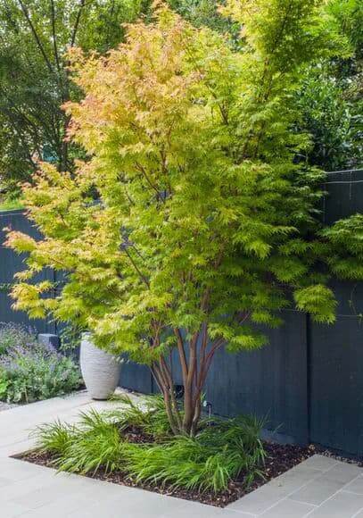 Requalification d’un jardin en terrain difficile