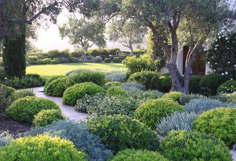 Jardin structuré autour d’une piscine