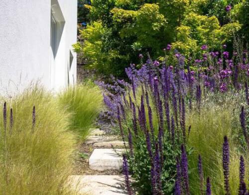 Jardin structuré autour d’une piscine
