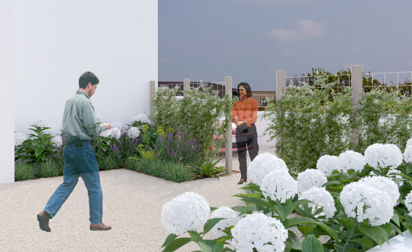 Ludovic Barlaud : Réhabilitation d'un Jardin à Biarritz